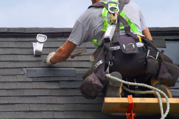 Best Roof Maintenance and Cleaning  in Pine Manor, FL