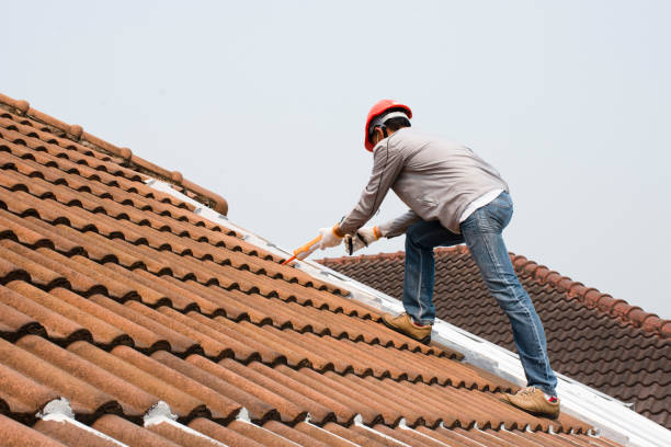 Best Storm Damage Roof Repair  in Pine Manor, FL